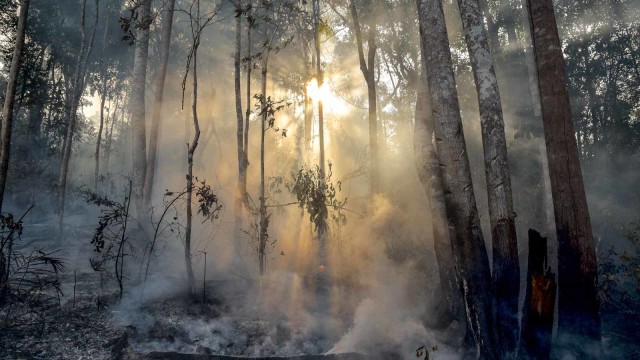 Asap mengepul akibat kebakaran di hutan di Kota Pekanbaru, Riau, Rabu (3/3/2021). Foto: FB Anggoro/ANTARA FOTO