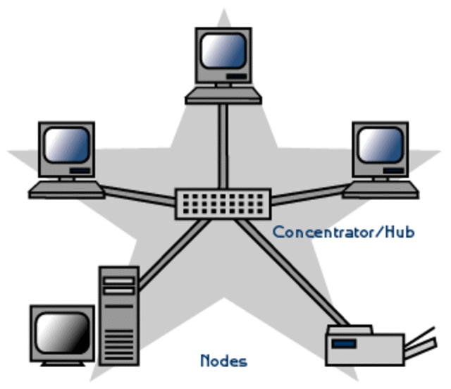 Macam Macam Topologi Jaringan Kumparan Com