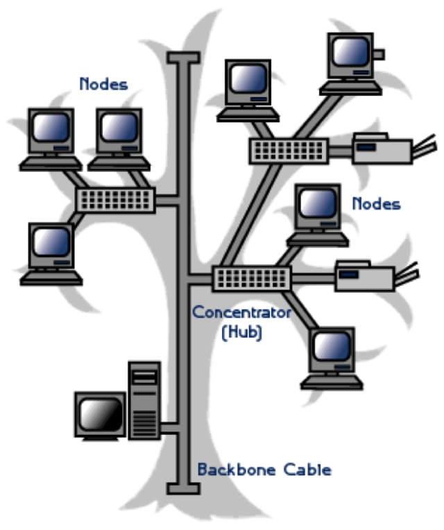 Macam Macam Topologi Jaringan Kumparan Com