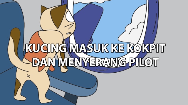 Komik: Kucing Masuk ke Kokpit dan Menyerang Pilot