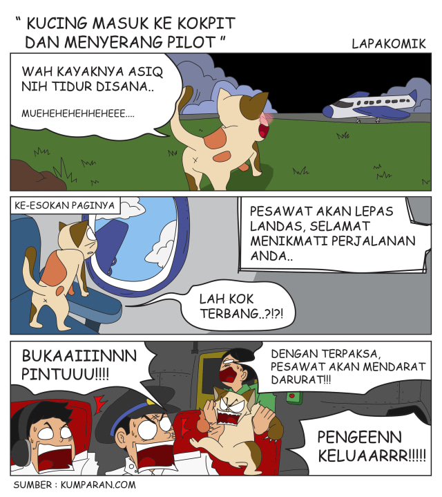 Komik: Kucing Masuk ke Kokpit dan Menyerang Pilot  kumparan.com