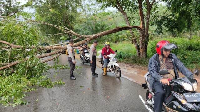 Petugas dari Polres Bangka Selatar atur lalu lintas di lokasi kejadian pohon tumbang.