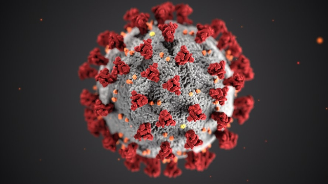 Ilustrasi Virus Corona foto: Unsplash