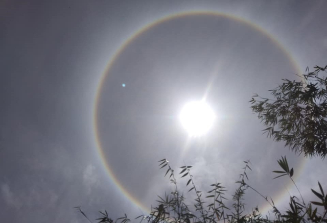 Fenomena halo matahari terlihat dari Wajo, Sulawesi Selatan. Foto:. Dok. Muhammad Herman