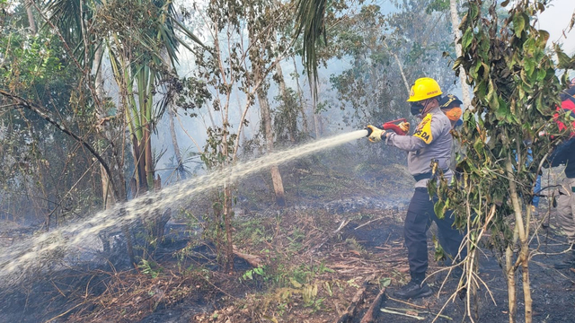 KAPOLDA Riau, Irjen Pol Agung Setya Imam Effendi saat memadamkan api di lokasi Karhutla, Sabtu (6/3/2021). 