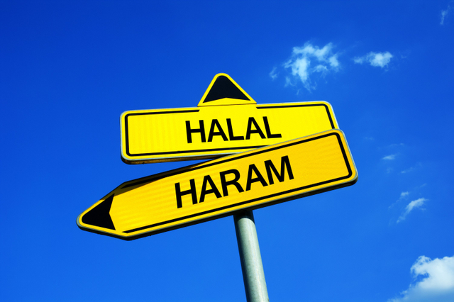 Ilustrasi halal dan haram.
 Foto: Shutterstock