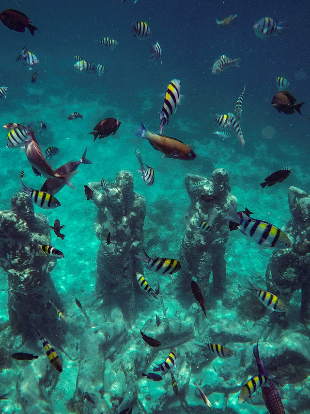 Ikan-ikan berada di dekat patung karya seniman Jason deCaires Taylor berjudul Nest di perairan Gili Meno, Kepulauan Gili, Lombok Utara. Foto: Aprillio Akbar/Antara Foto