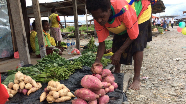 Umbi-umbian yanh banyak dijumpai di pasar tradisional Papua. (BumiPapua.com/Katharina)