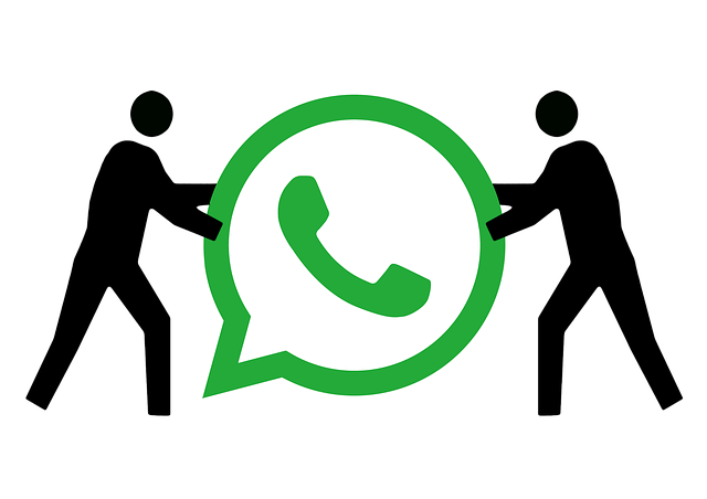 Cara Aktifkan Fitur Disappearing di WhatsApp Web, iPhone, dan Android. Foto: Pixabay