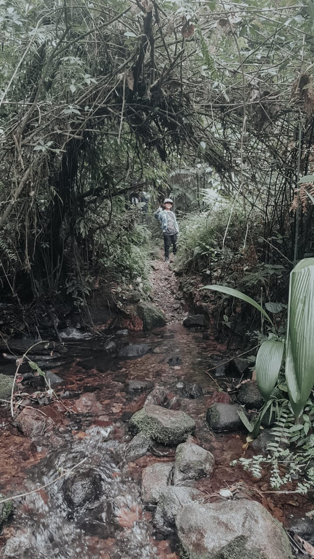 Jalur hiking di Kawah Ratu Gunung Salak Bogor. Foto: istimewa