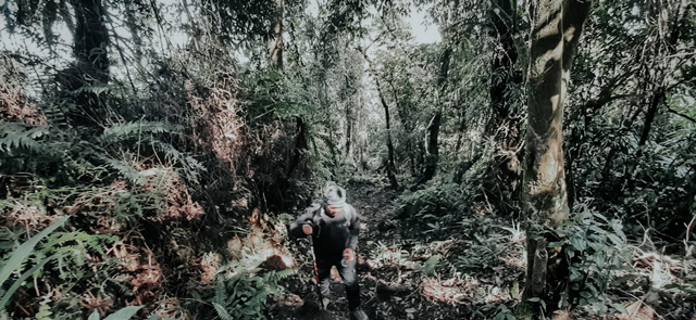 Suasana jalur hiking di Kawah Ratu Gunung Salak Bogor. Foto: istimewa