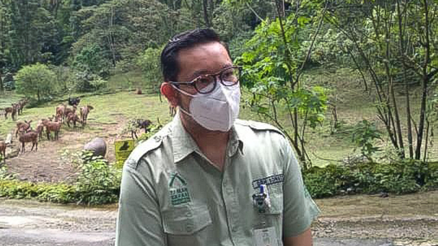 Dokter Hewan Taman Safari Indonesia, Bongot Huaso Mulia. Foto: Dok. Istimewa