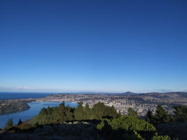 Pemandangan Dunedin dari puncak Signal Hill