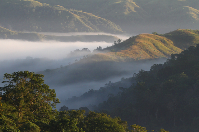 Menjelajahi Keunikan dan Keajaiban 4 Taman Nasional di NTT (Bagian 2) (60781)