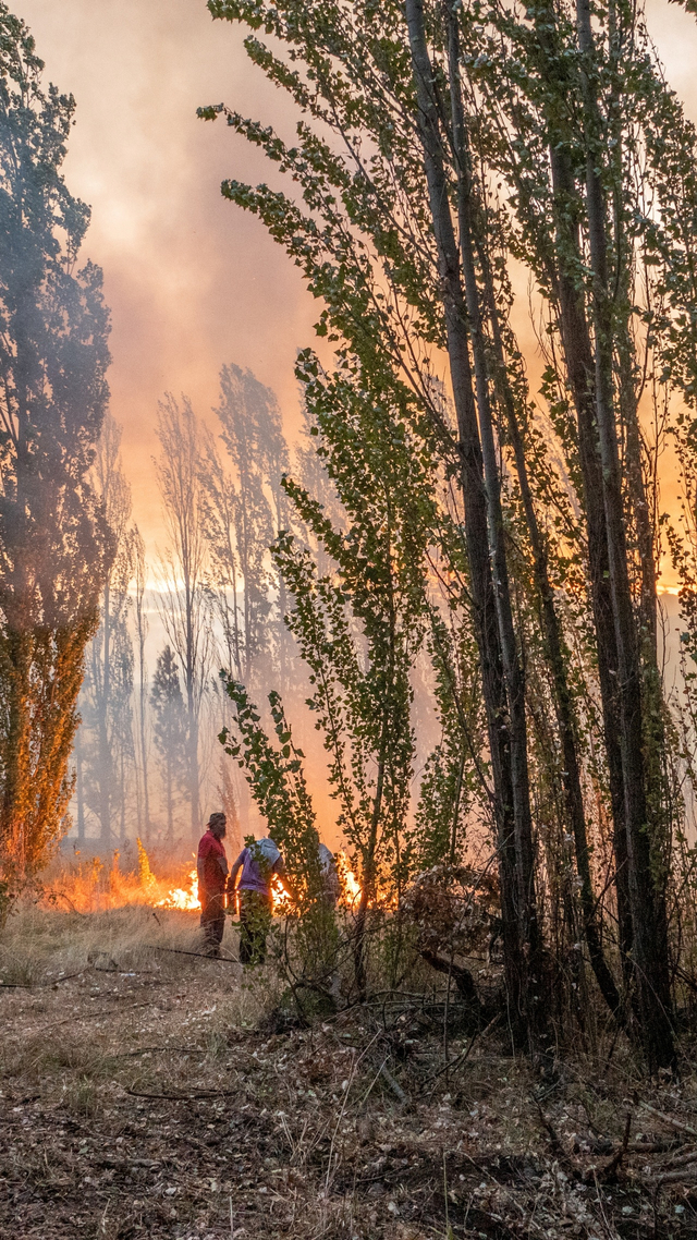 Orang-orang berdiri di dekat semak-semak yang terbakar saat kebakaran hutan melanda Golondrinas, provinsi Chubut di Argentina, Selasa (9/3). Foto: Nir Ekdesman/via REUTERS