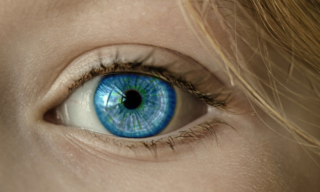 Warna mata dipengaruhi oleh 50 gen yang berbeda | Gambar oleh Anja dari Pixabay