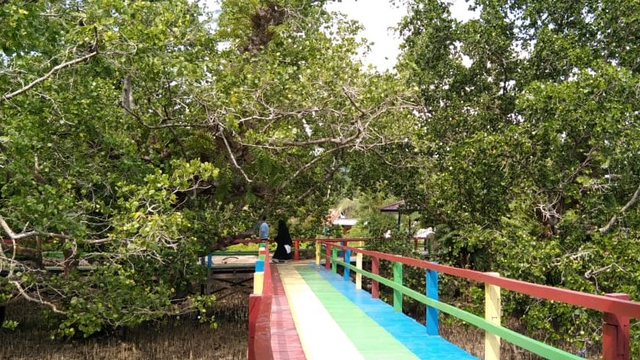 Destinasi wisata hutan Mangrove di Morowali. Foto: Intan/PaluPoso