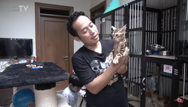 Rumah kucing Denny Cagur. Foto: YouTube Denny Cagur TV