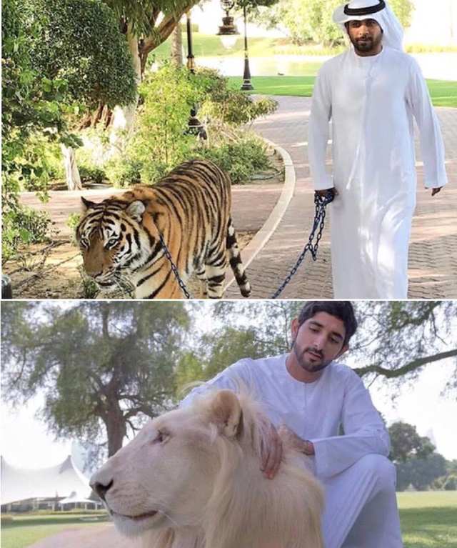 Simbol para sultan di Dubai pelihara hewan buas. Foto: Istimewa.