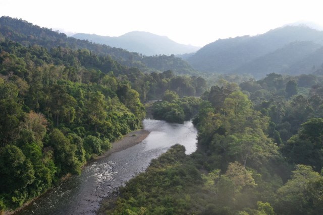 Hutan Aceh di kawasan aliran sungai Pante Cermin, Aceh Jaya. Foto: Ahmad Ariska/acehkini