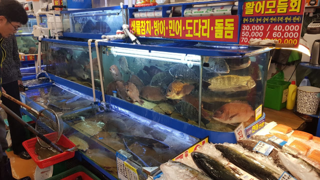 Berburu Alaskan King Crab di Noryangjin Fish Market (319737)