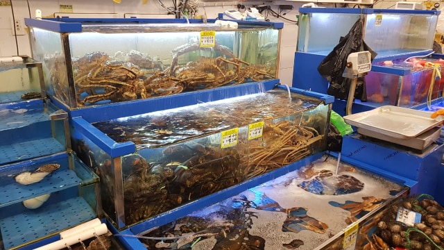 Berburu Alaskan King Crab di Noryangjin Fish Market (319741)