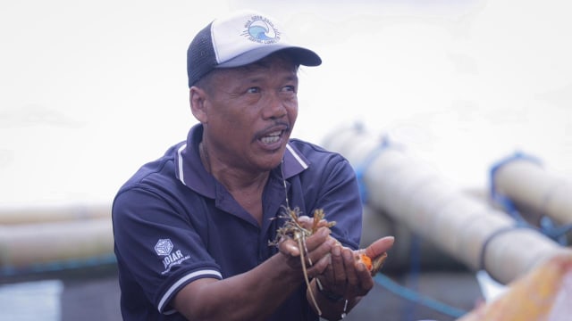 Nelayan menunjukkan lobster saat Menteri Kelautan dan Perikanan Sakti Wahyu Trenggono, meninjau benih lobster di Lombok. Foto: Dok. KKP