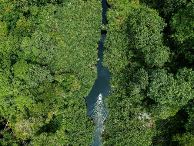 Penutupan kanal (canal blocking) adalah salah satu bagian penting dari kegiatan pemulihan kawasan hutan, khususnya di lahan gambut. Foto: dok. RAPP