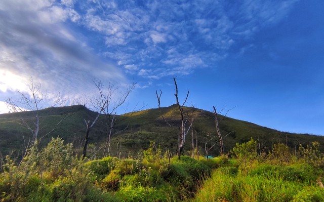 Apa Kabar Gunung Merbabu, Benarkah Akan Segera Dibuka untuk Pendakian? (8498)