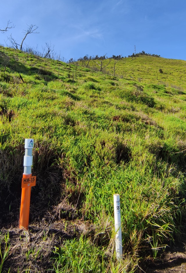 Apa Kabar Gunung Merbabu, Benarkah Akan Segera Dibuka untuk Pendakian? (8501)