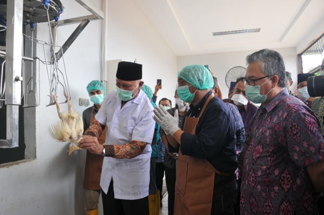 Gubernur Sumatera Barat Mahyeldi menyembelih seekor ayam pertanda diresmikannya Rumah Potong Unggas (RPU) di Air Pacah, Padang, Kamis 25 Maret 2021. Foto: ist