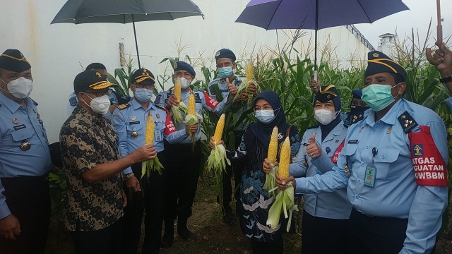 Panen hasil pertanian warga binaan Rutan kelas IIA Batam. Foto: Rega/kepripedia.com