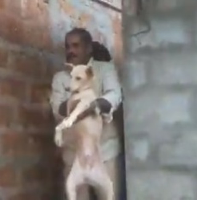 Momen Mendebarkan Evakuasi Anjing Terjebak 7 Jam Bersama Macan Tutul di Toilet (57626)
