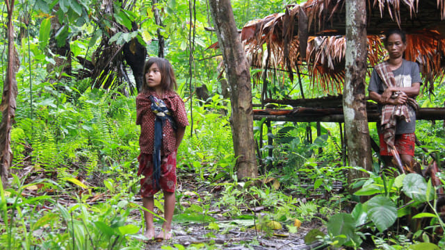 Mengenal Orang Togutil yang Hidup di Hutan Halmahera (Bagian 1) (162748)