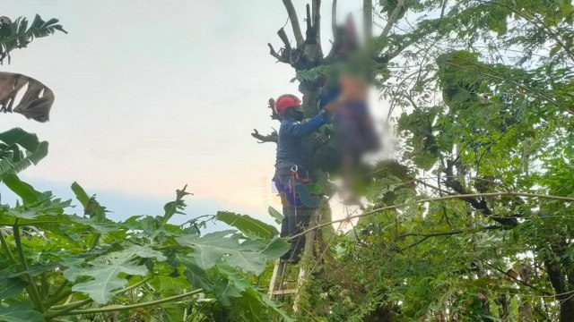 Petugas saat mengevakuasi mayat Wasito (55), warga Desa Kandangan, Kecamatan Trucuk, Kabupaten Bojonegoro, yang meninggal akibat tersengat listrik. (foto: istimewa)
