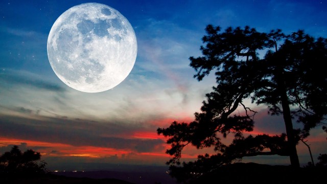 Full Moon (sumber: canva.com)