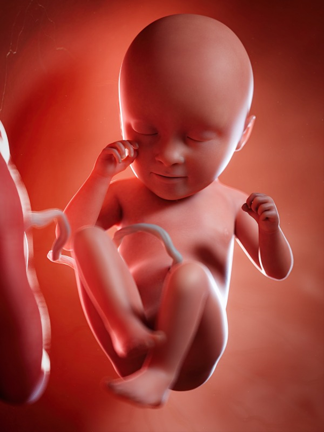 Janin yang Sehat, Seperti Apa Ciri-cirinya? Foto: Shutterstock
