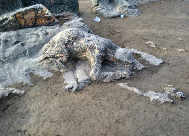Bukan Dikutuk Menjadi Batu, Inilah Batu Menyerupai Gajah di Islandia (18132)