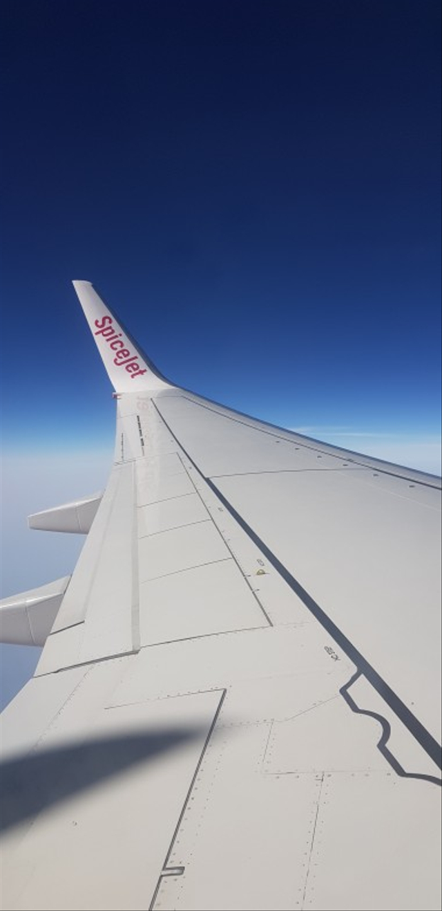 Ilustrasi maskapai penerbangan SpiceJet Foto: Dok. Pixahive