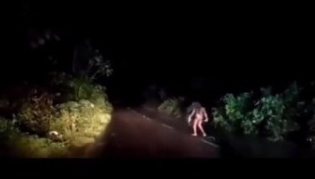 Pekerja di Kalimantan Dicegat Makhluk Mengerikan saat Pulang Tengah Malam (283897)