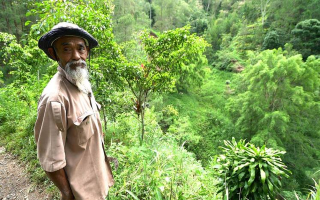 Sadiman, kakek yang berhasil bangkitkan hutan seluas 250 hektar. (Foto: @WonogiriUpdateOfficial/Facebook)