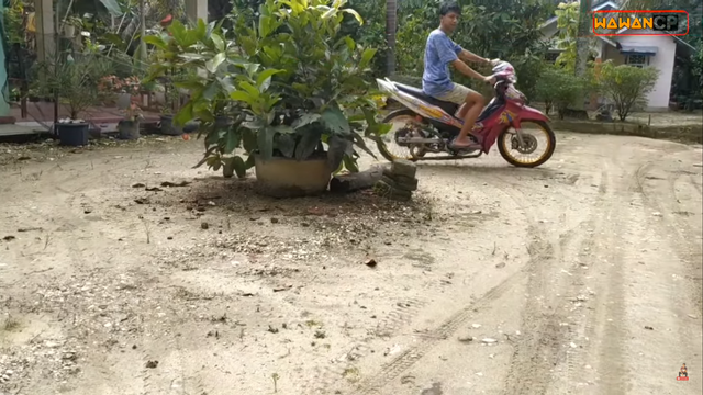 Knalpot Motor dari Bambu, Bagaimana Bunyinya dan Bisa Ditilang Polisi Juga? (316146)