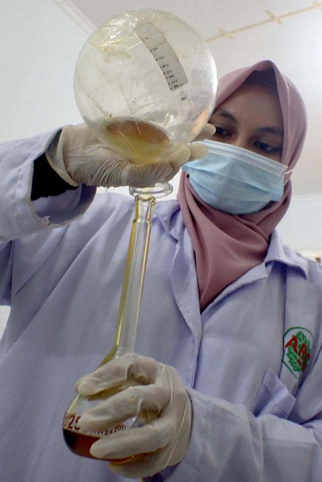 Memproduksi minyak wangi nilam Aceh. Foto: Suparta/acehkini