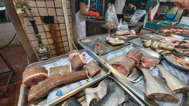 Penampakan Belut Raksasa Sepanjang Dua Kali Orang Dewasa, Dibeli dari Pemancing (77110)