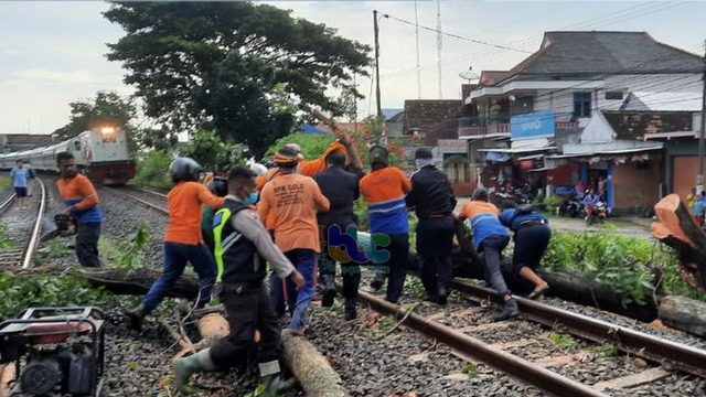 Satu rangkaian kereta api dari Surabaya dengan tujuan Jakarta harus berhenti dan menunggu proses evakuasi batang pohon roboh. Sabtu (03/04/2021) (foto: istimewa)