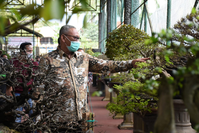 Melihat Kontes Bonsai Seharga Jutaan Rupiah di Kuningan, Jabar (236260)