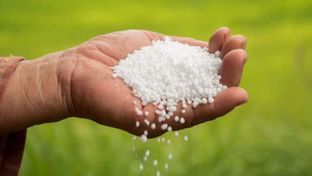 Ilustrasi pupuk urea. Foto: Shutterstock