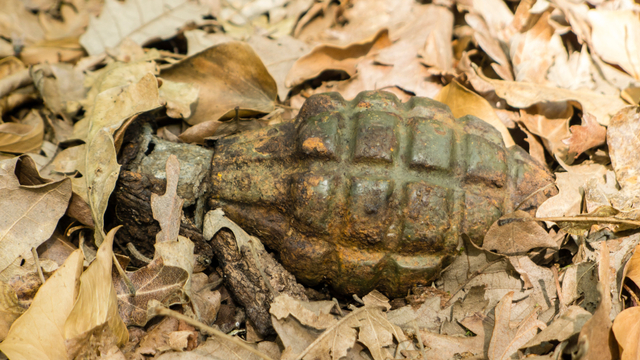 Ilustrasi granat nanas berkarat. Foto: Shutterstock