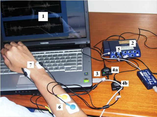 Electromyography (EMG), Ketika Otot Rangka Manusia Menghasilkan Listrik (4)