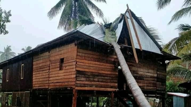 Pohon kelapa tumbang dan menimpa rumah warga saat terjadi angin kencang di Polewali Mandar, Sulawesi Barat. Foto: Dok. Istimewa